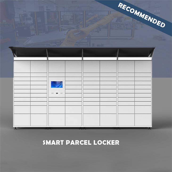 Large Smart Parcel Locker